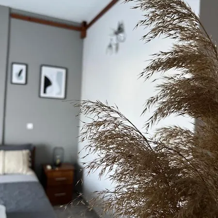 شقة فندقية Kastalia And 3*