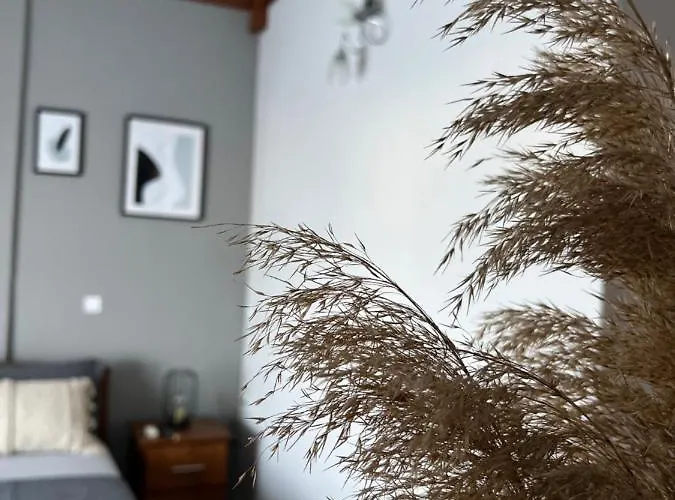 Appart hôtel Kastalia And 3*